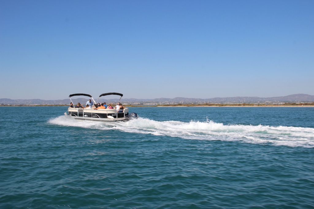 Short Boat Tour in Ria Formosa from Faro
