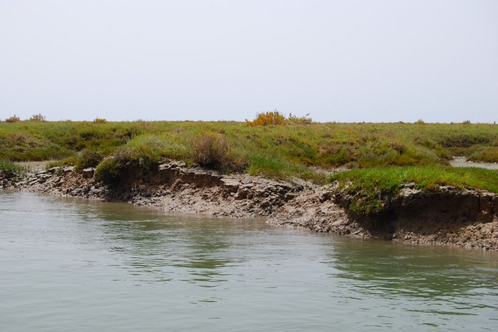 Short Boat Tour in Ria Formosa from Faro