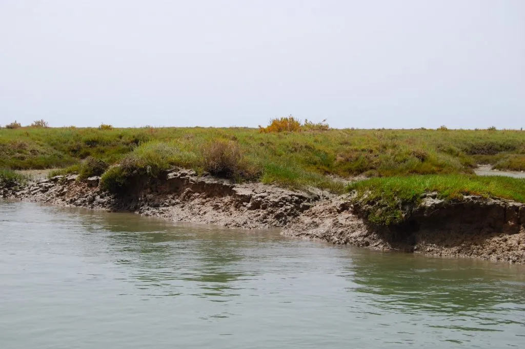 Short Boat Tour in Ria Formosa from Faro