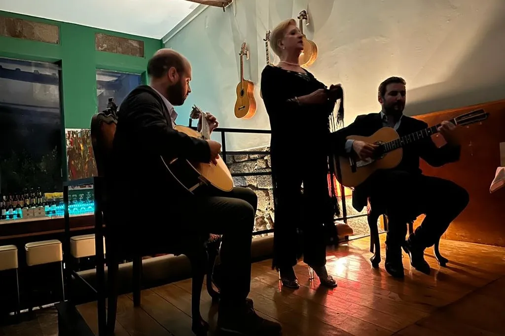 Porto: Live Fado Show + Dinner
