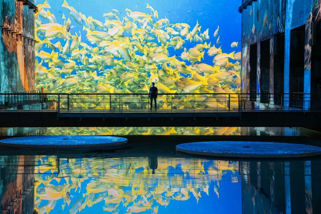 Les Bassins des Lumières: Destination Cosmos