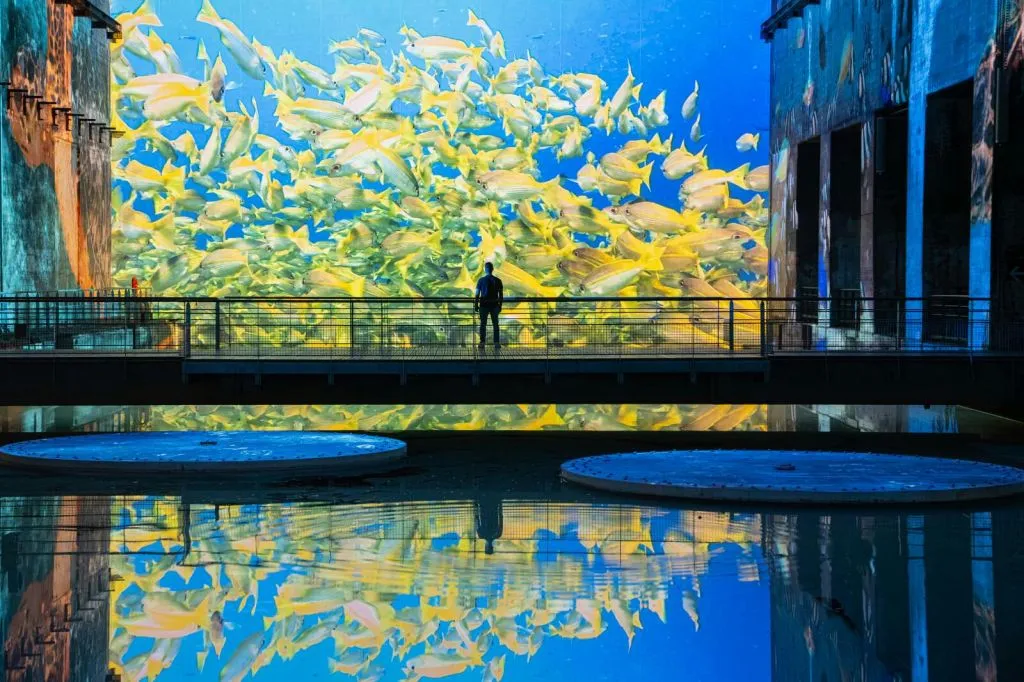 Les Bassins des Lumières: Destination Cosmos