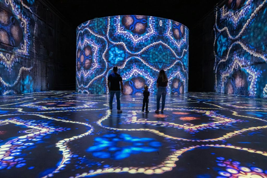 Les Bassins des Lumières: Destination Cosmos