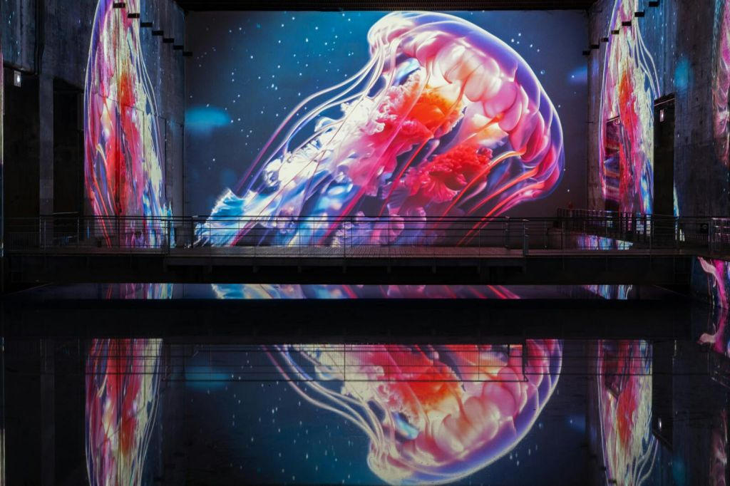 Les Bassins des Lumières: Destination Cosmos
