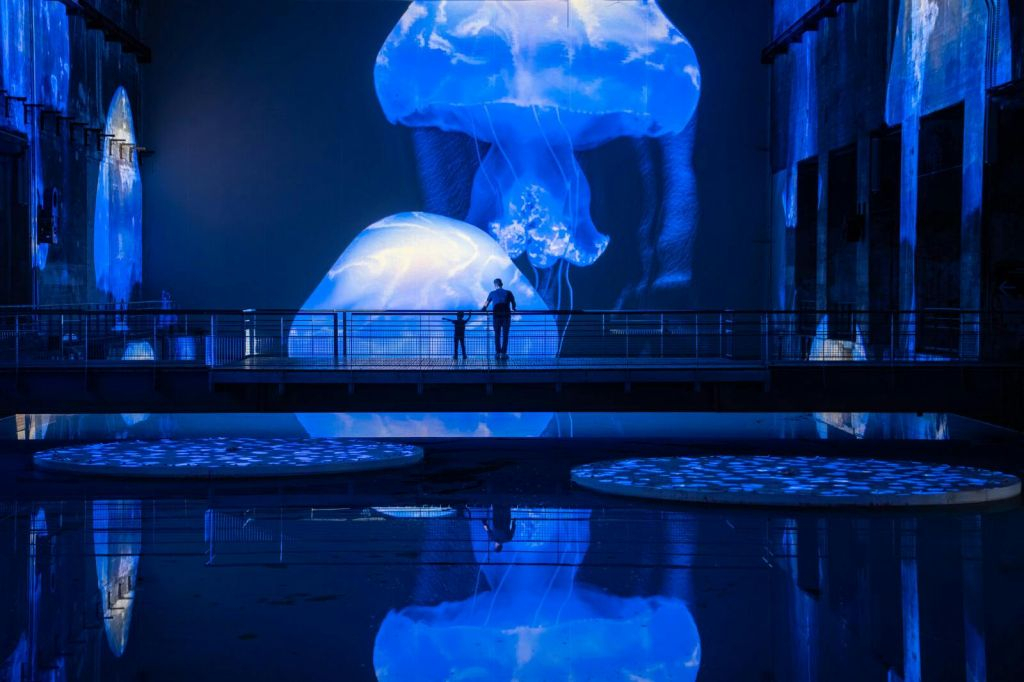 Les Bassins des Lumières: Destination Cosmos