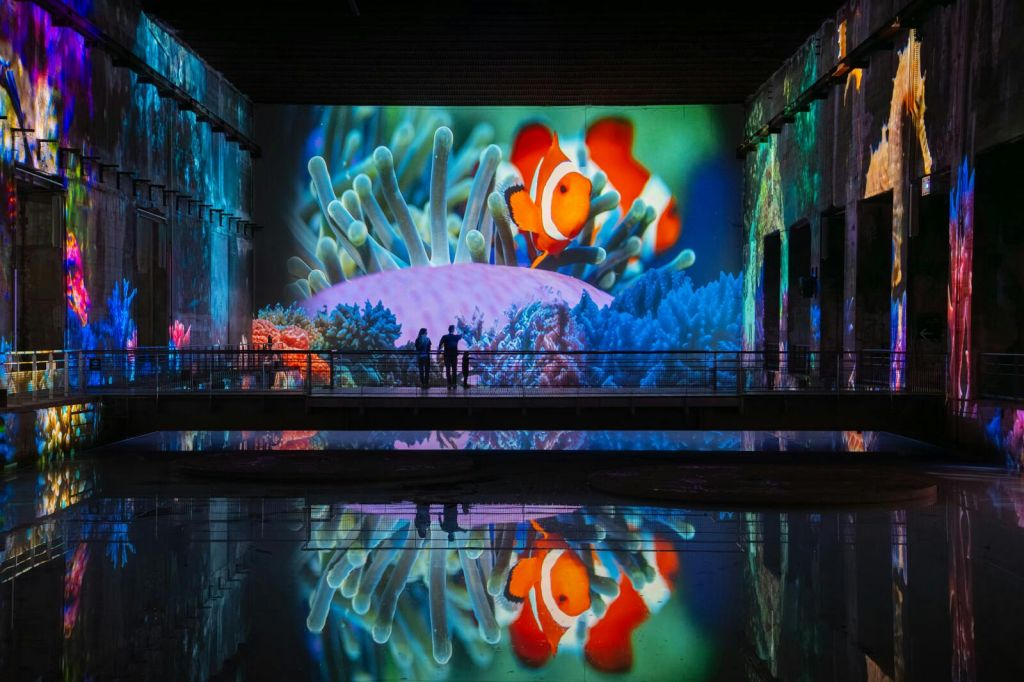 Les Bassins des Lumières: Destination Cosmos