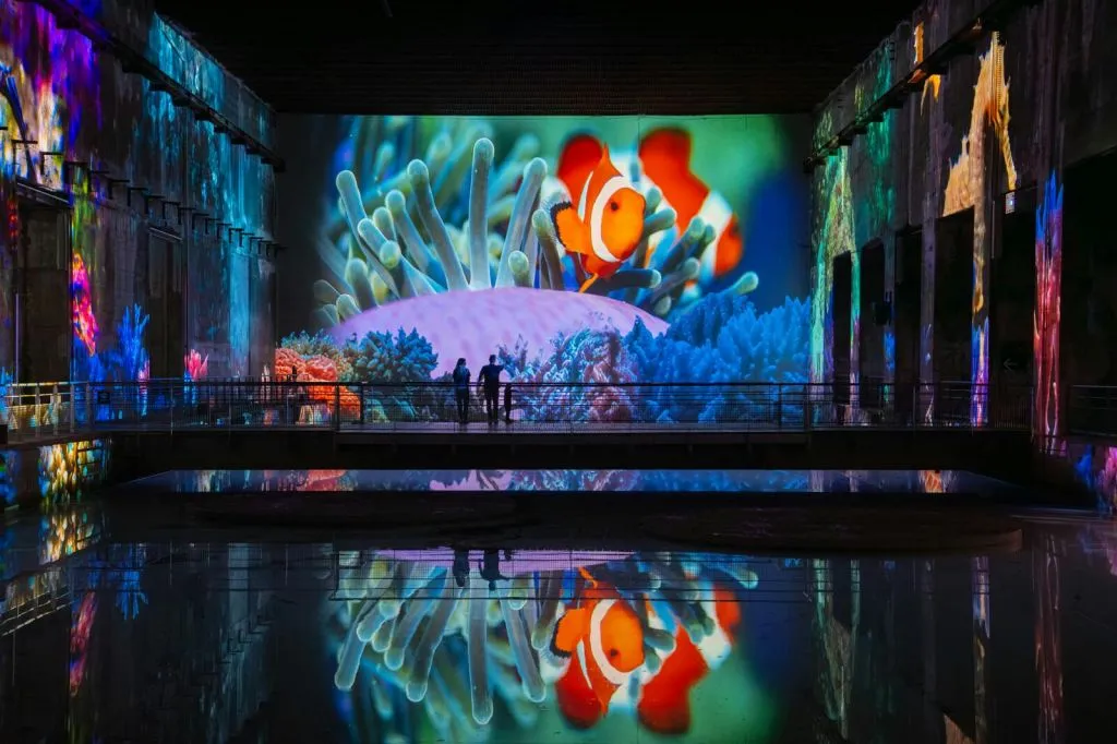 Les Bassins des Lumières: Destination Cosmos