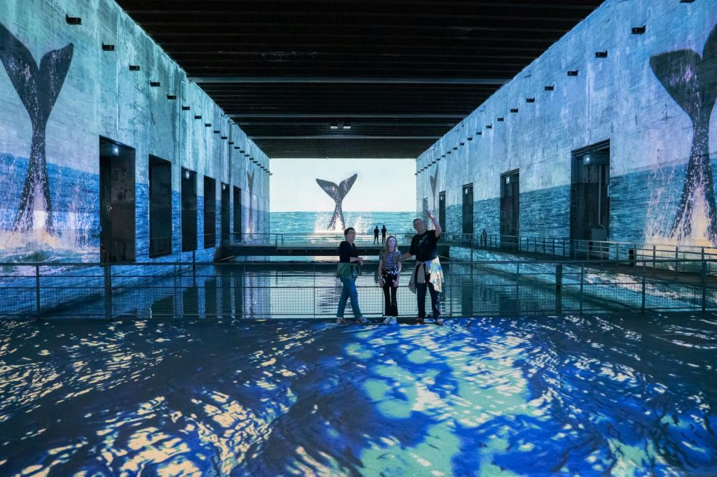 Les Bassins des Lumières: Destination Cosmos
