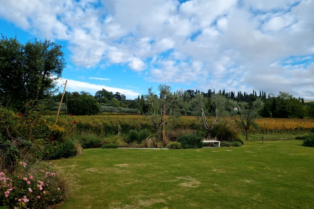 Lago de Garda: Degustação de vinhos + passeio pelos vinhedos de Bardolino