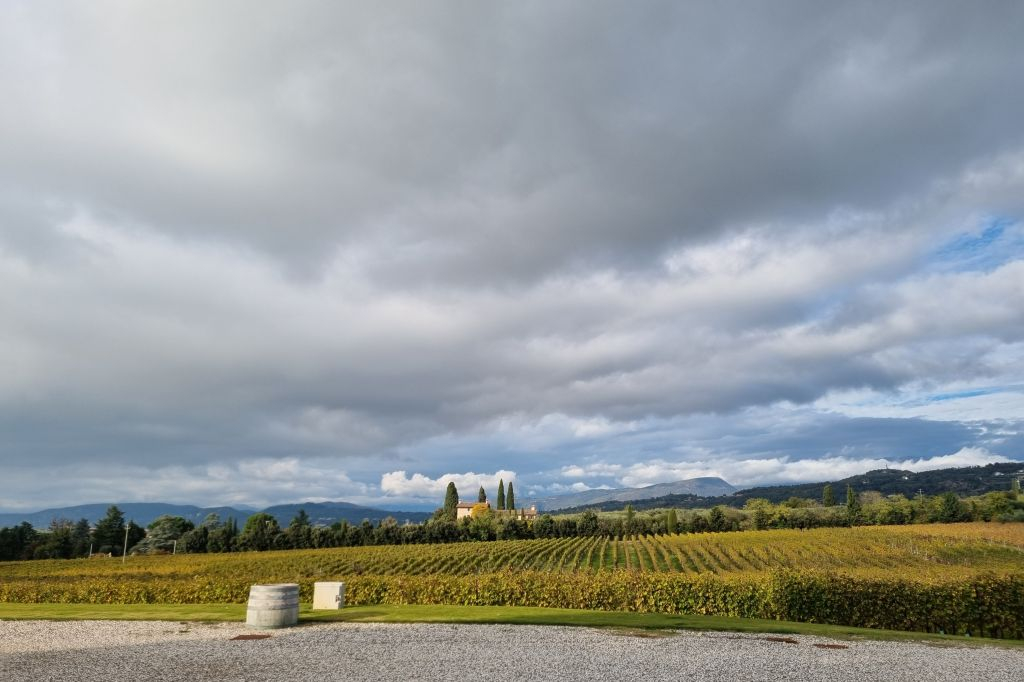 Lago de Garda: Degustação de vinhos + passeio pelos vinhedos de Bardolino