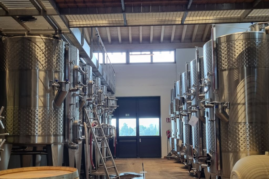 Lago de Garda: Degustação de vinhos + passeio pelos vinhedos de Bardolino