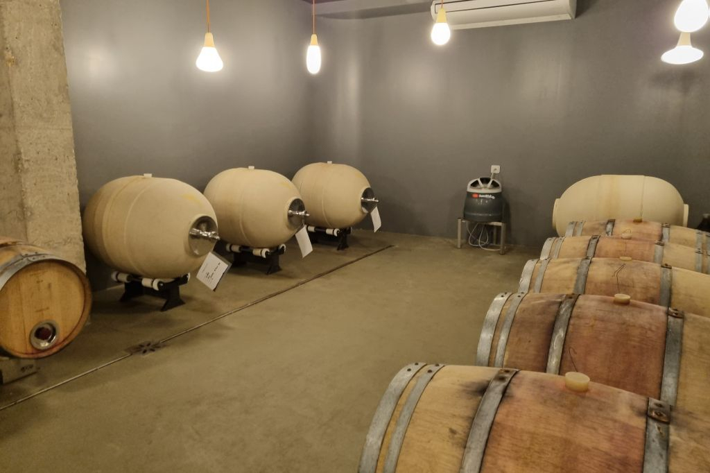 Lago de Garda: Degustação de vinhos + passeio pelos vinhedos de Bardolino