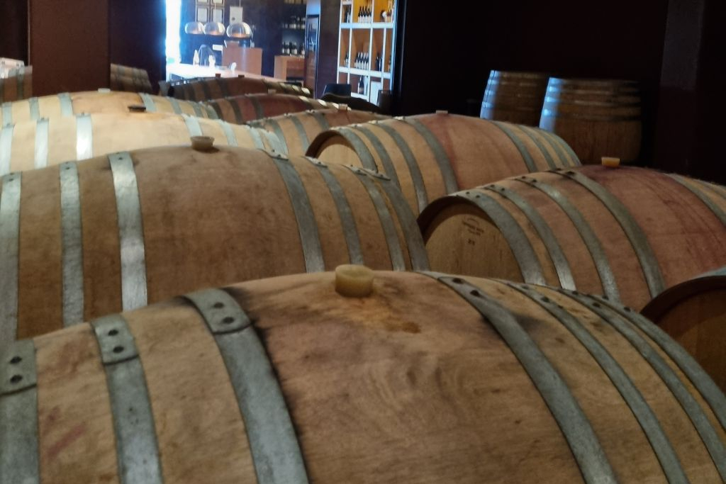 Lago de Garda: Degustação de vinhos + passeio pelos vinhedos de Bardolino