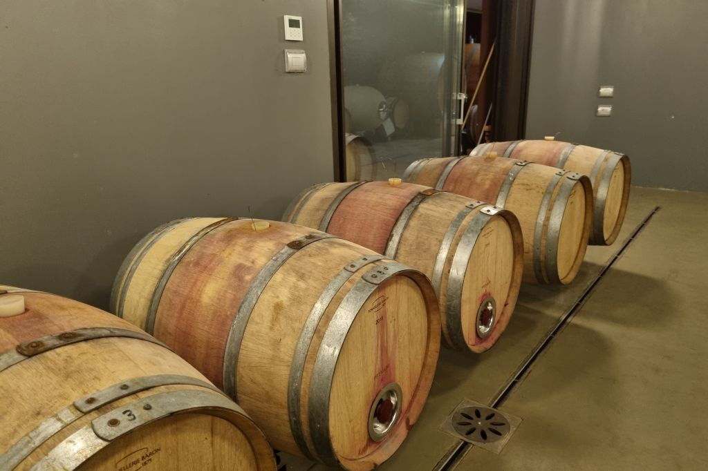 Lago de Garda: Degustação de vinhos + passeio pelos vinhedos de Bardolino