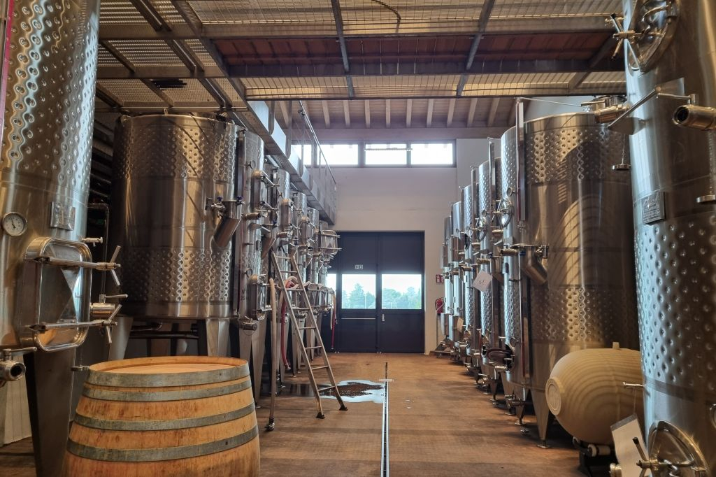 Lago de Garda: Degustação de vinhos + passeio pelos vinhedos de Bardolino