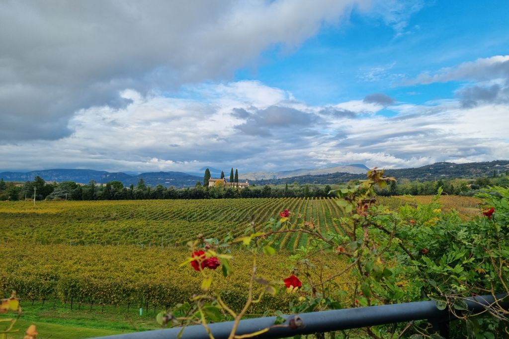 Lago de Garda: Degustação de vinhos + passeio pelos vinhedos de Bardolino