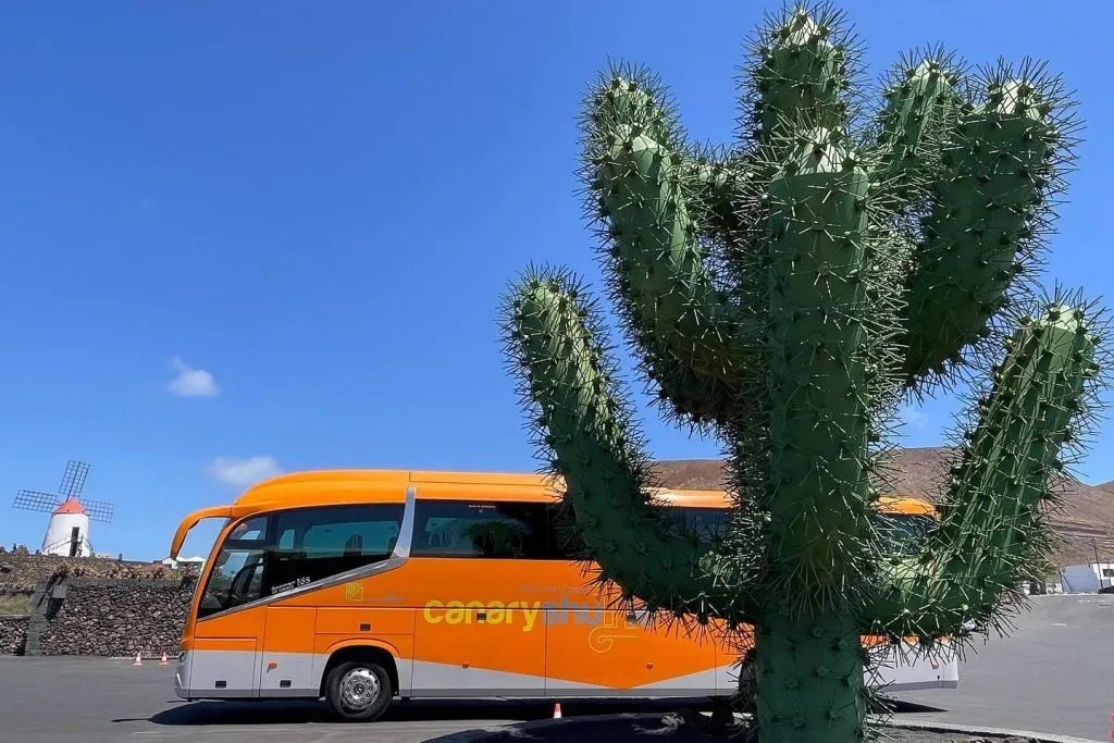 Fuerteventura Island: Bus Service from El Matorral Airport