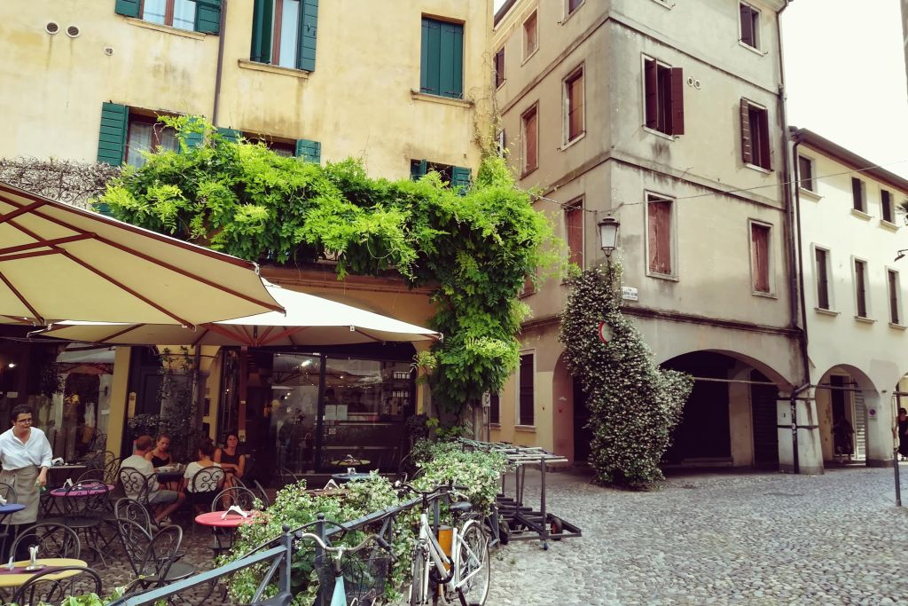 Day Trip to Padua with Departure by Train from Venice