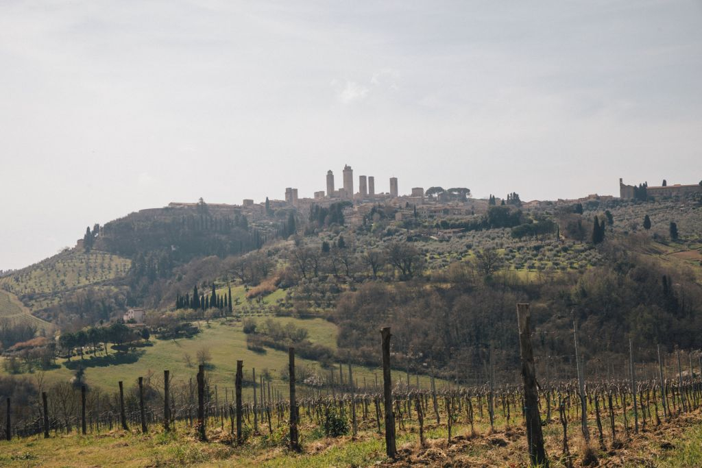 Pisa, Siena, San Gimignano & Chianti: Day Tour from Florence