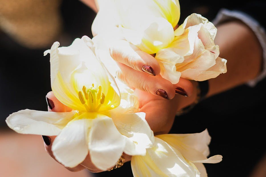 Discovery Day of Scents, Villages and French Riviera culture