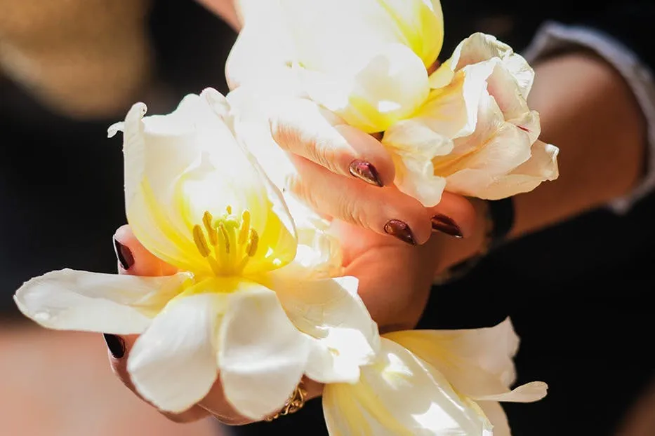 Discovery Day of Scents, Villages and French Riviera culture