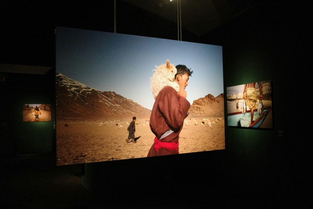 Palau Martorell + Exhibition