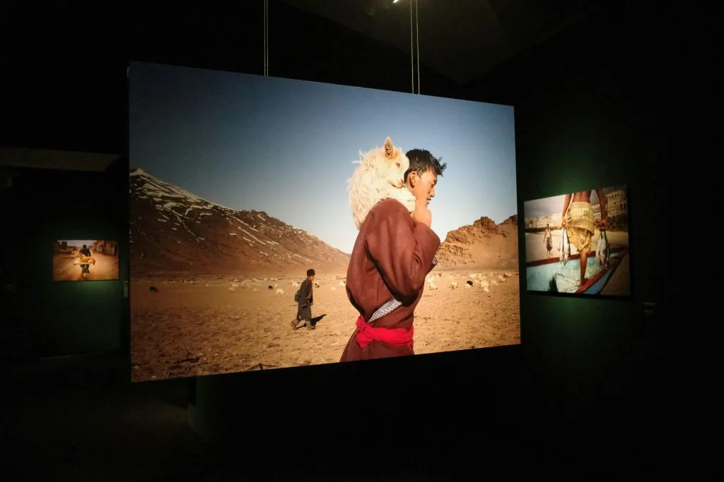 Palau Martorell + Exhibition