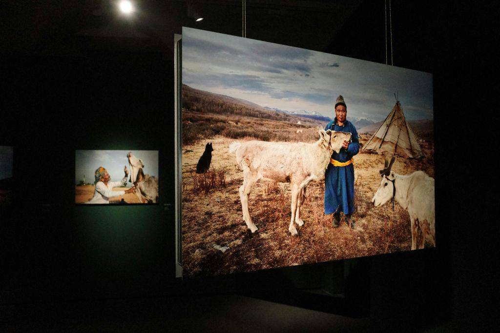 Palau Martorell + Exhibition