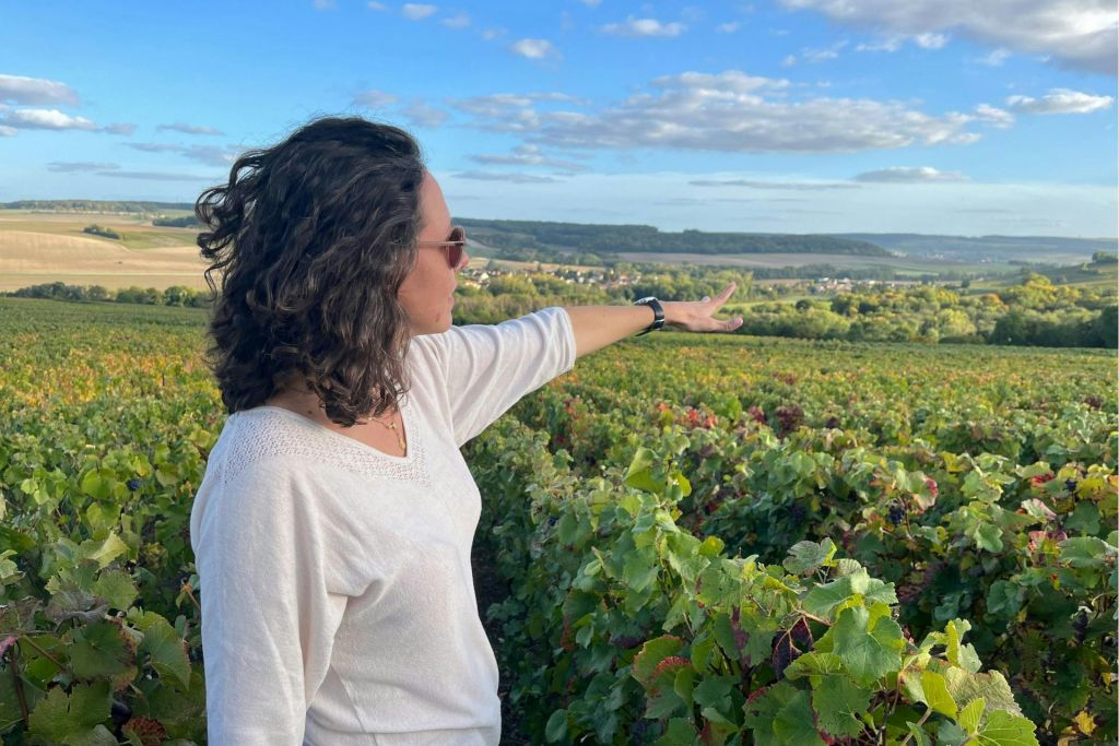 Sancerre: Wine Tastings + Lunch from Paris