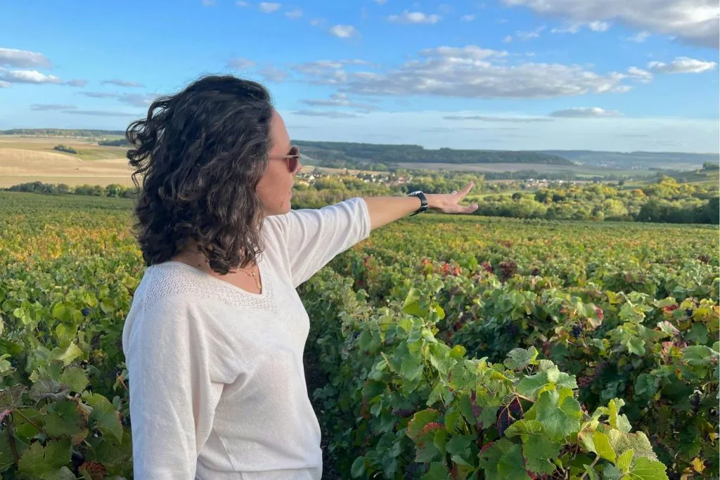 Sancerre: Wine Tastings + Lunch from Paris