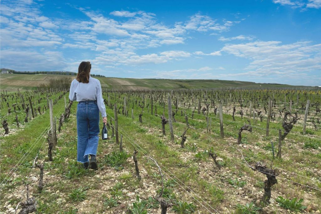 Sancerre: Wine Tastings + Lunch from Paris