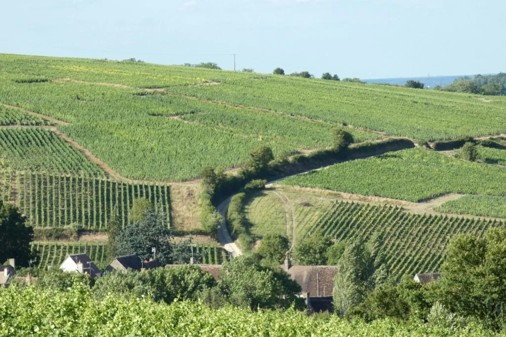 Sancerre: Wine Tastings + Lunch from Paris