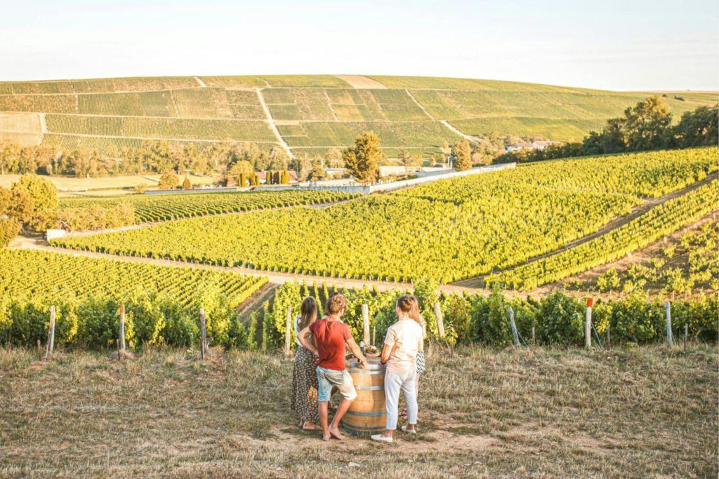 Sancerre: Wine Tastings + Lunch from Paris