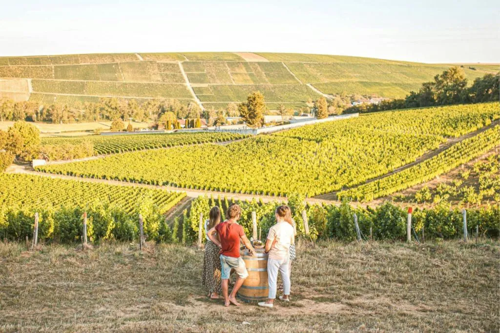 Sancerre: Wine Tastings + Lunch from Paris