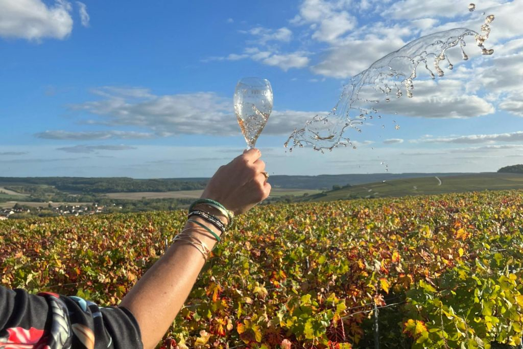 Sancerre: Wine Tastings + Lunch from Paris