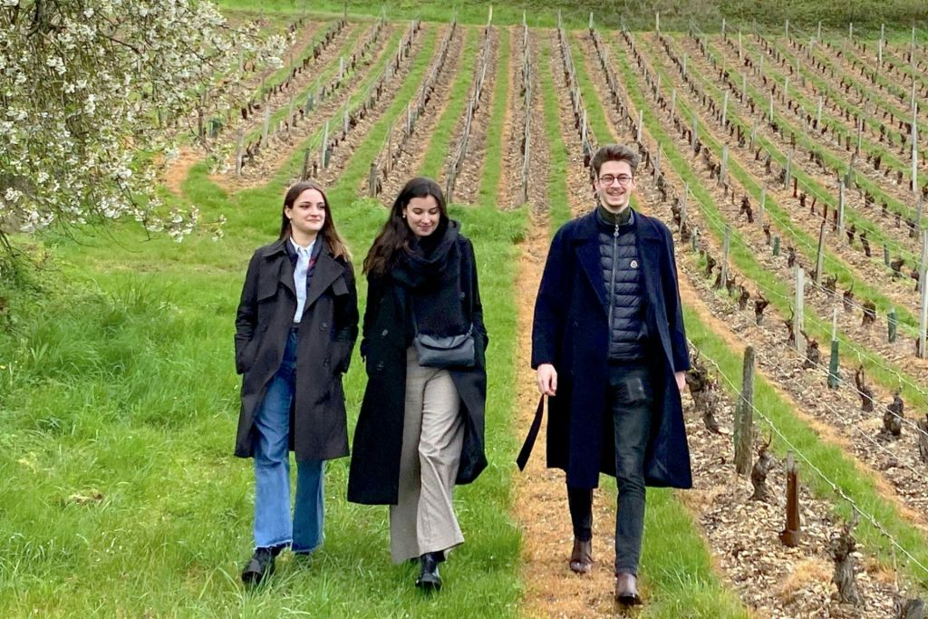 Sancerre: Wine Tastings + Lunch from Paris
