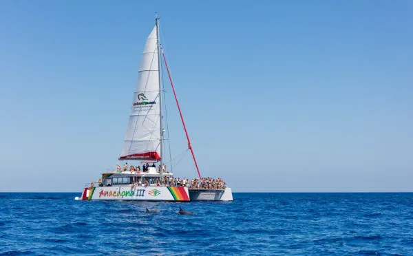 Passeio de catamarã em Alcudia (Maiorca)