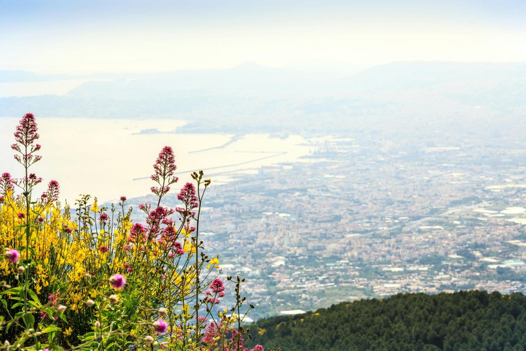 Vesuvius: Skip The Line Entry + Audio Guide