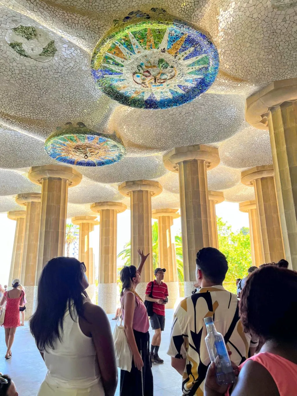 Guided Visita Sagrada Familia and Park Güell 