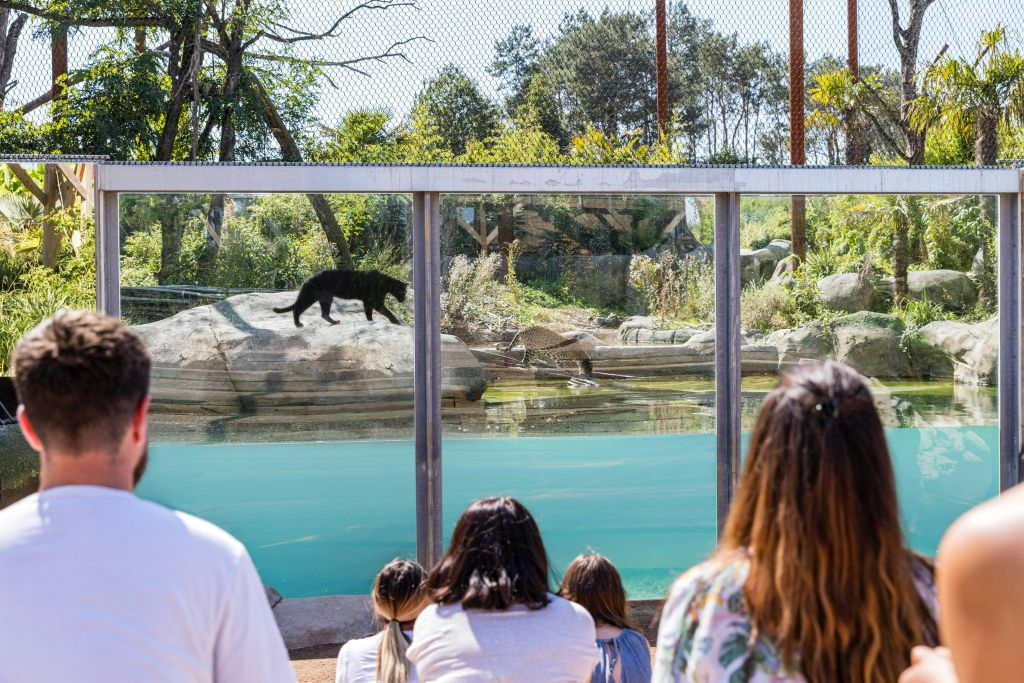 Parrot World: Annual Pass
