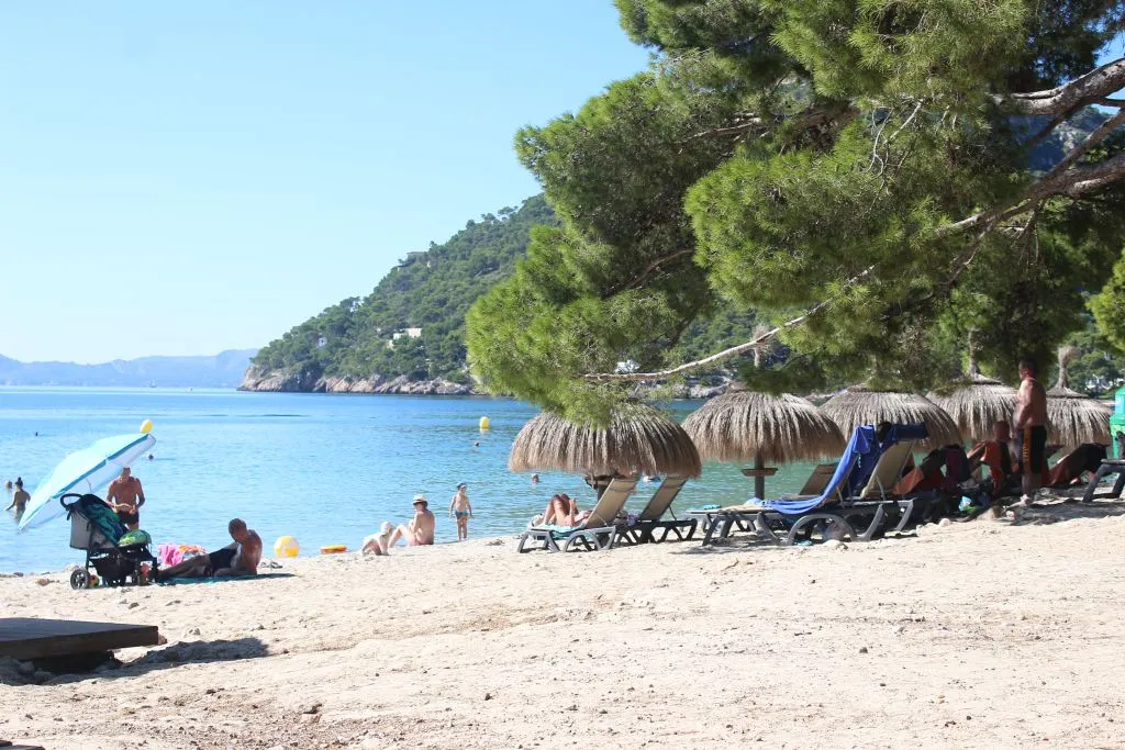 Tours Guiados en Palma de Mallorca (zona sur)