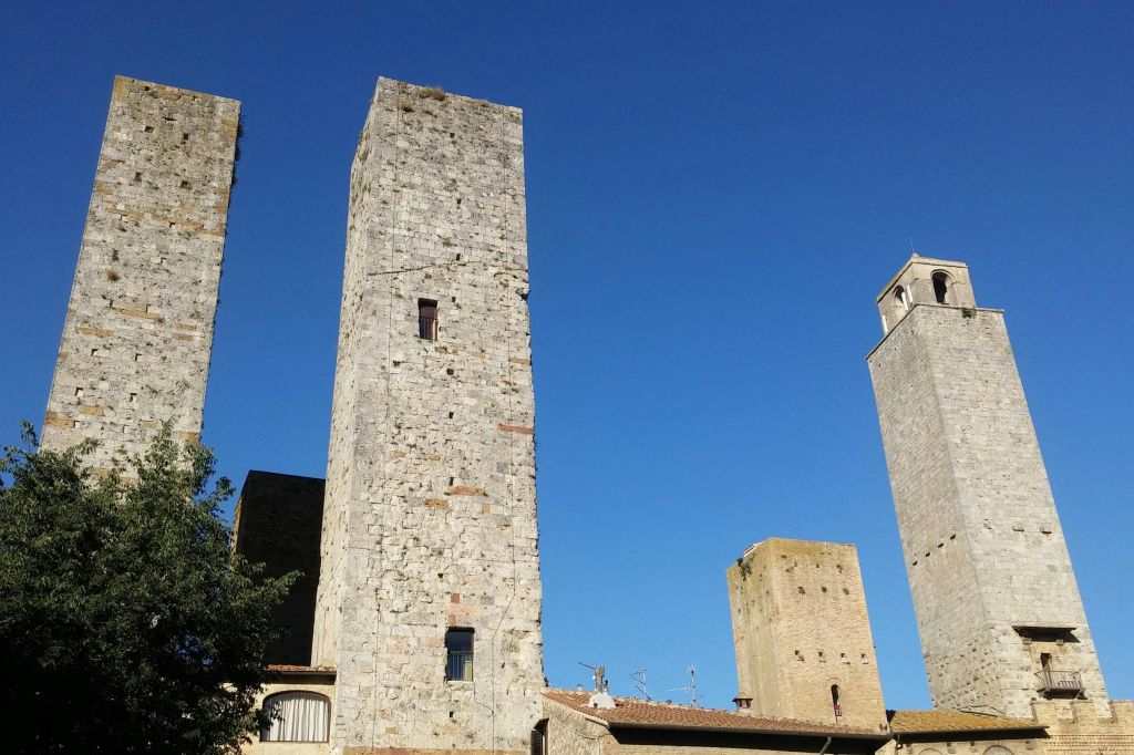 San Gimignano: Visita guidata ai vigneti + degustazione di vini + pranzo