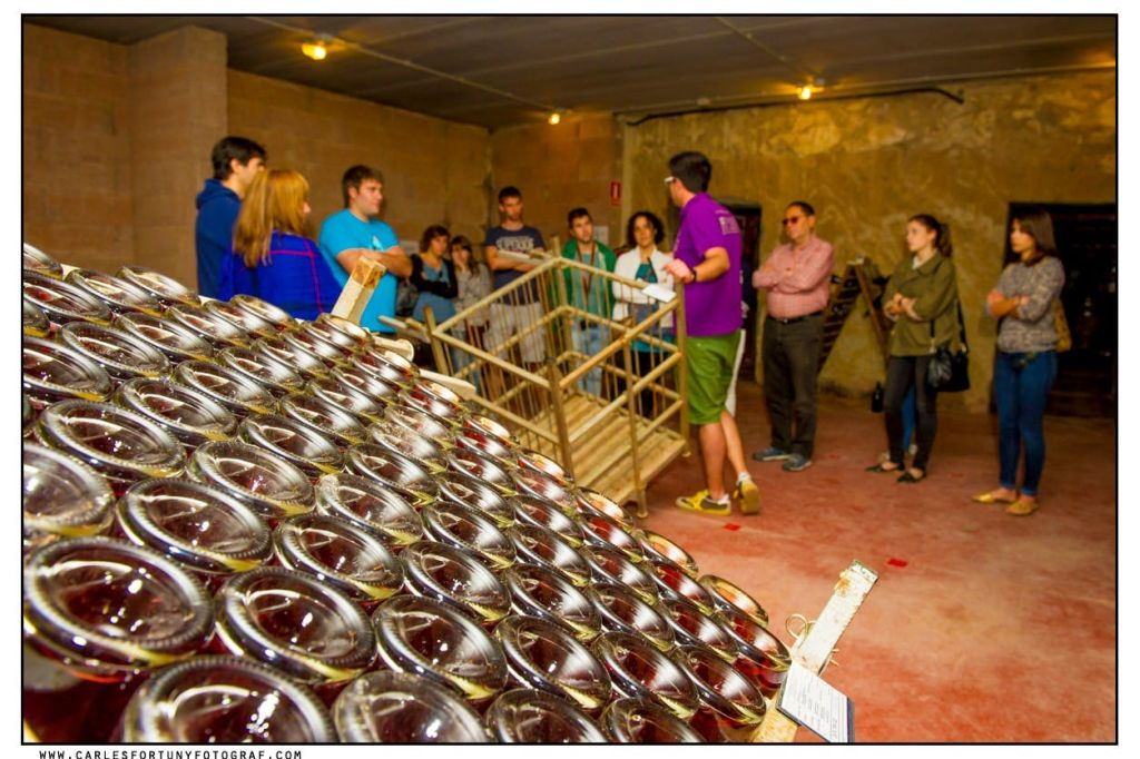 Create Your Own Cava Workshop From Barcelona