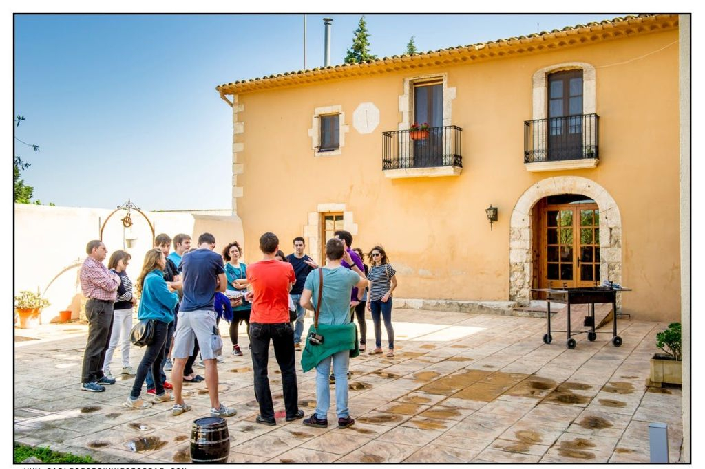 Create Your Own Cava Workshop From Barcelona