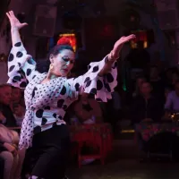 Cuevas los Tarantos - Flamenco Show (Granada)