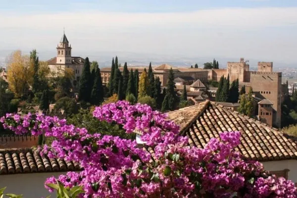 Alhambra: Entrada sin colas + Tour guiado