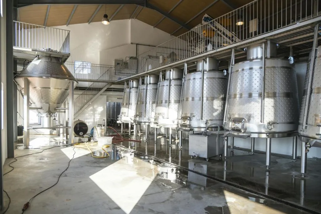Quinta de São Luiz: Visita às vinhas