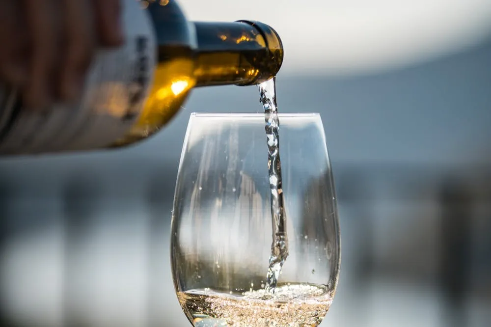Quinta de São Luiz: Visita às vinhas