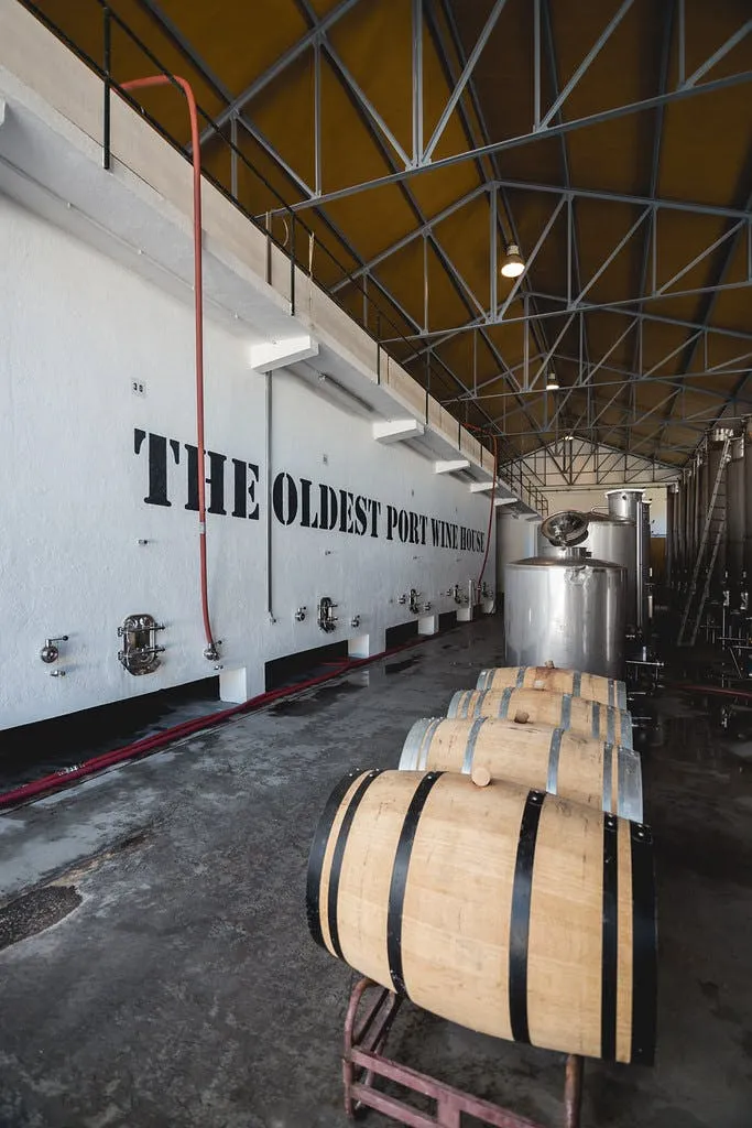 Quinta de São Luiz: Visita às vinhas