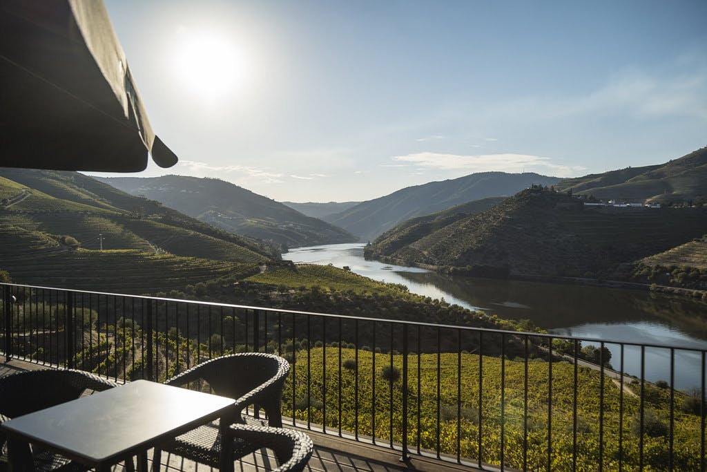 Quinta de São Luiz: Visita às vinhas